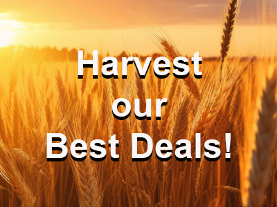 Late Summer Specials 2026